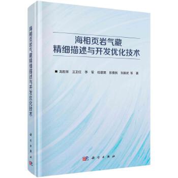 海相頁巖氣藏精細描述與開發(fā)優(yōu)化技術(shù) 科學(xué)出版社